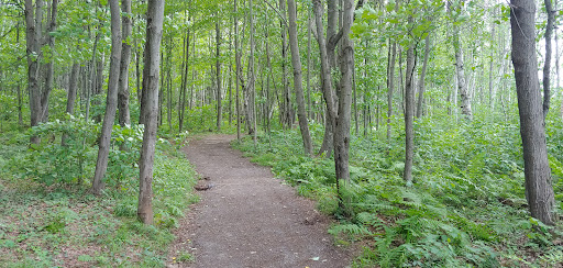 Photo of Laurier Woods Conservation Area - Brule St, North Bay, ON P1A 3Z5